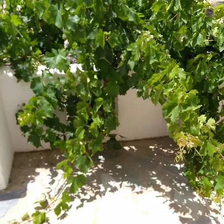 Διαμέρισμα Grandes Kouremenos Παλαίκαστρο